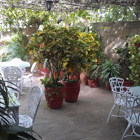 Villa Dalia-2